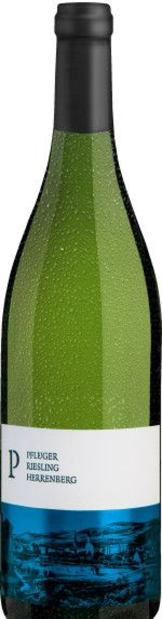 Online Pfluger Riesling Ungsteiner Herrenberg