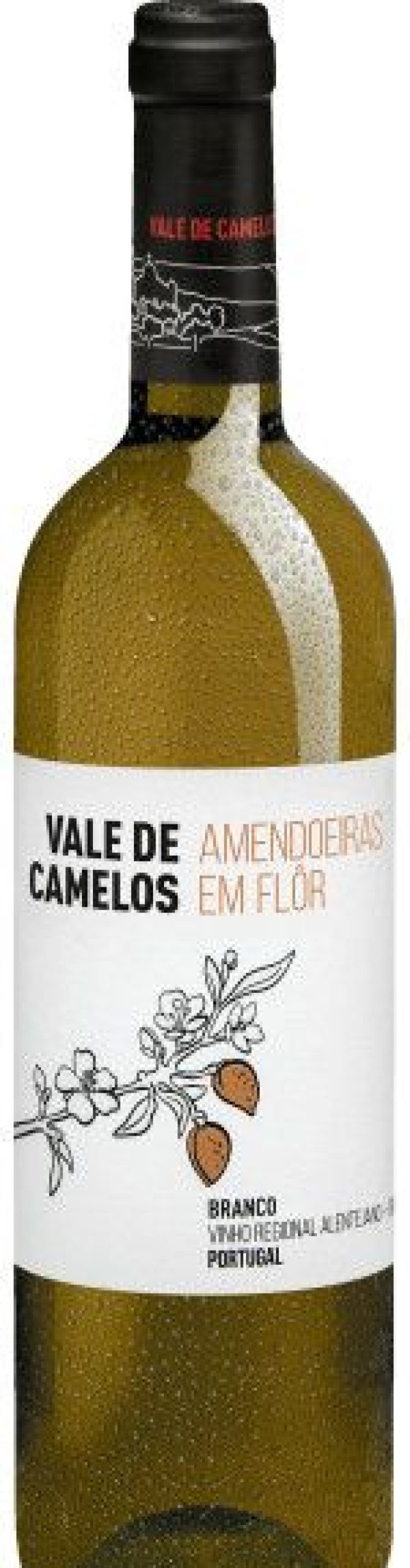 Clearance Vale De Camelos Amendoeiras Em Flor